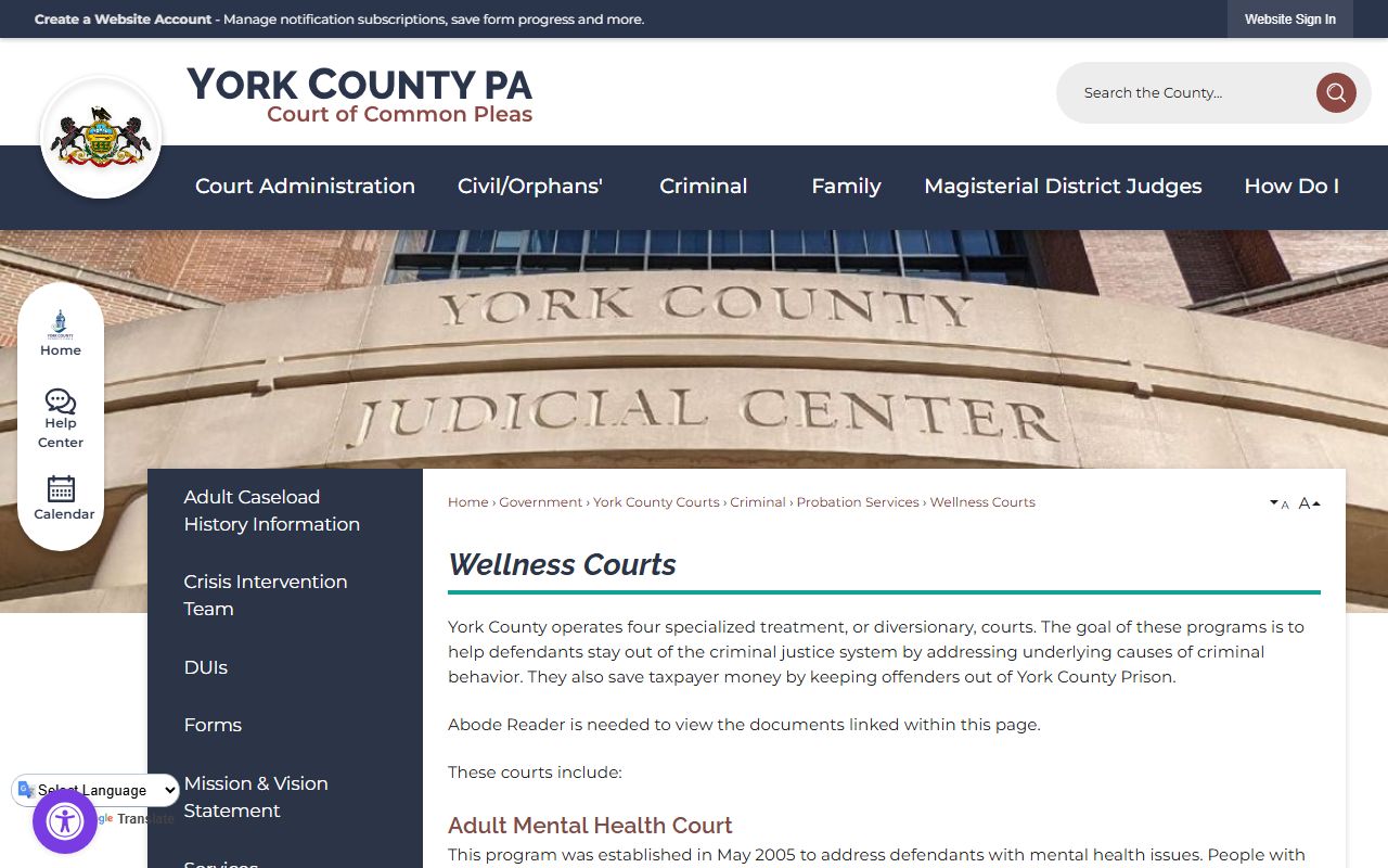 York County court dockets wellness and specialty courts page